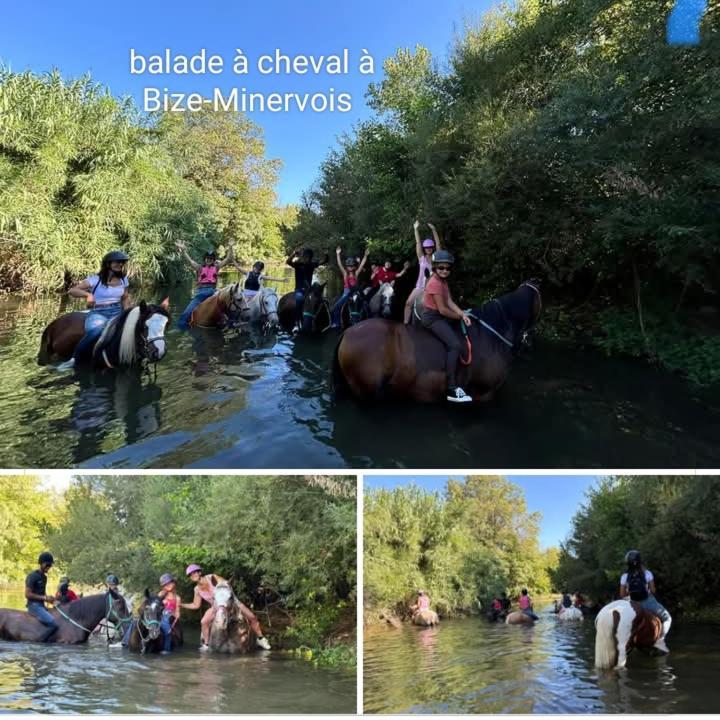 La Villa Du Menhir Bize-Minervois Ngoại thất bức ảnh
